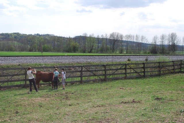 USTVARJALNE DELAVNICE