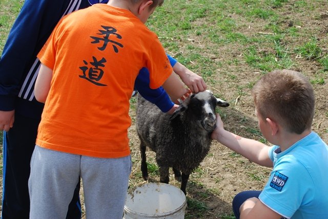 USTVARJALNE DELAVNICE