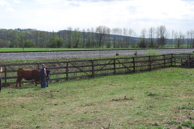 USTVARJALNE DELAVNICE