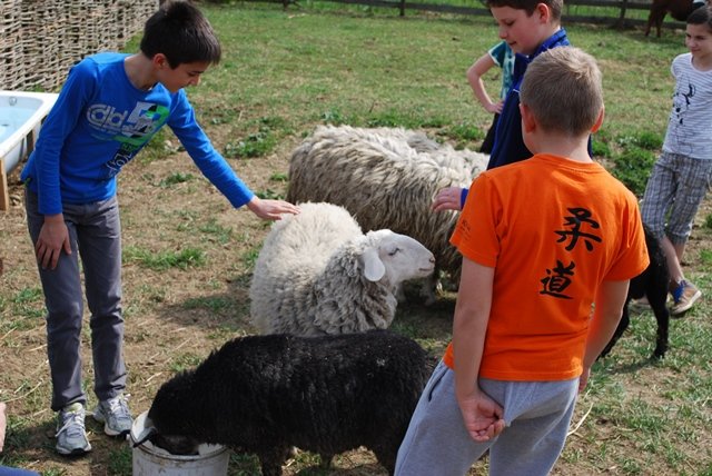 USTVARJALNE DELAVNICE