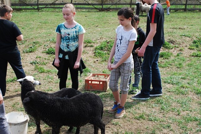 USTVARJALNE DELAVNICE