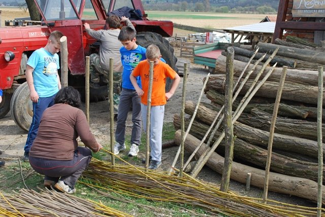 USTVARJALNE DELAVNICE