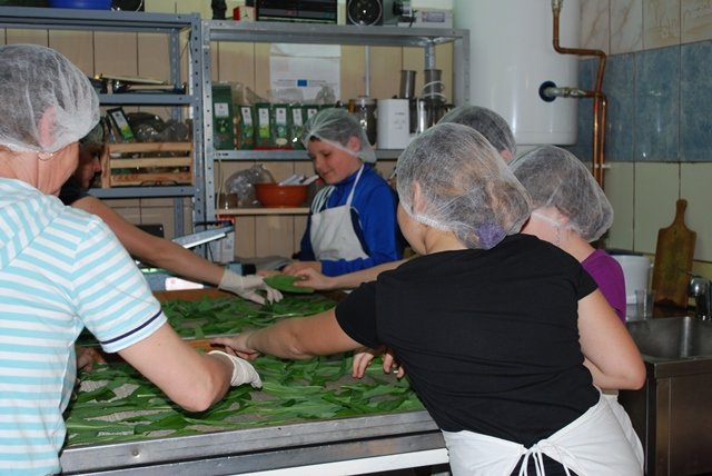 USTVARJALNE DELAVNICE