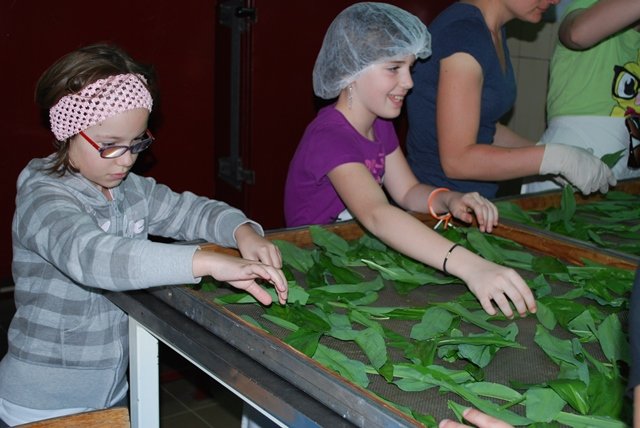 USTVARJALNE DELAVNICE