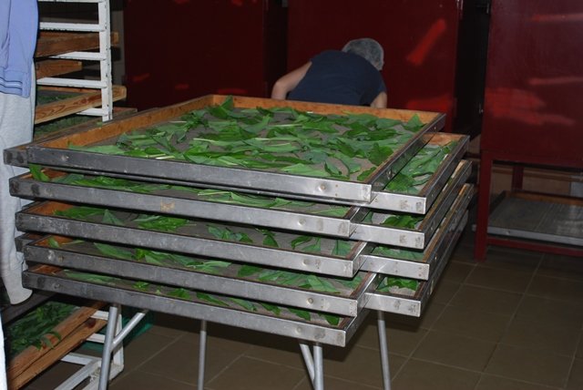 USTVARJALNE DELAVNICE