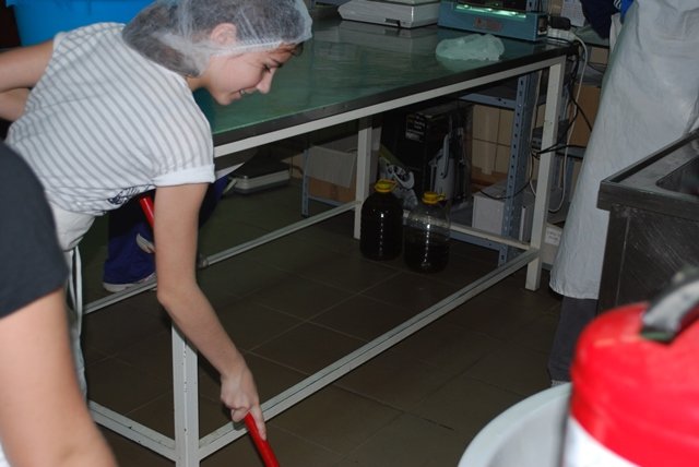 USTVARJALNE DELAVNICE