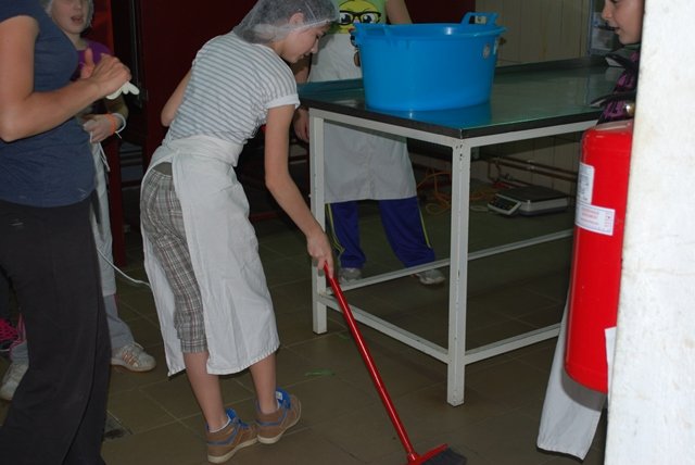 USTVARJALNE DELAVNICE