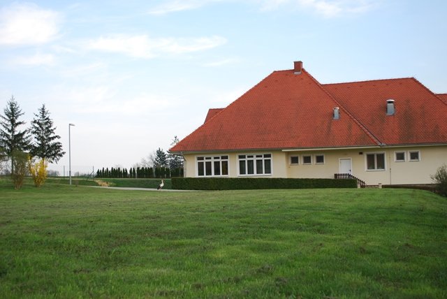 USTVARJALNE DELAVNICE