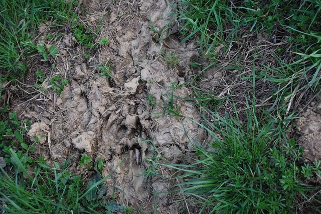 USTVARJALNE DELAVNICE