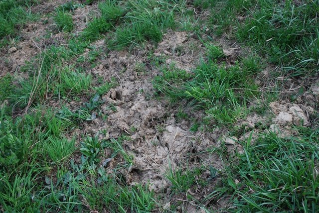 USTVARJALNE DELAVNICE