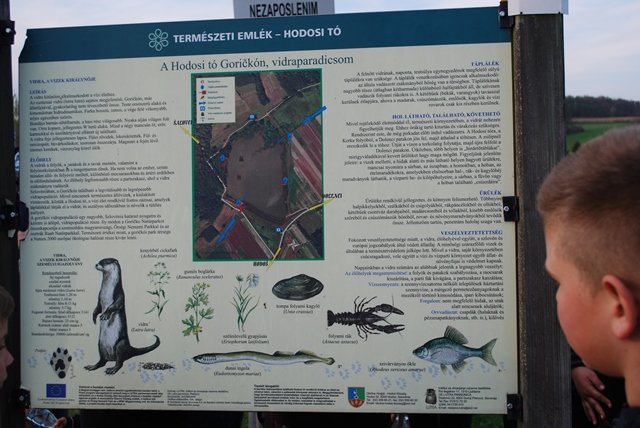 USTVARJALNE DELAVNICE