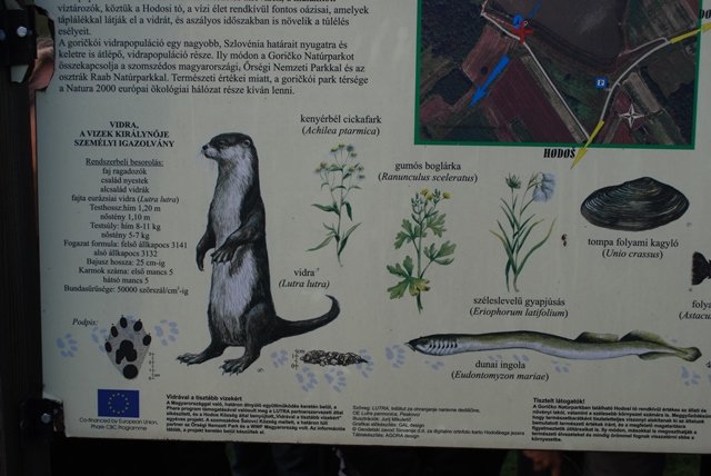 USTVARJALNE DELAVNICE