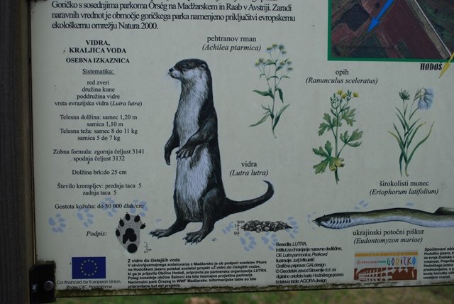 USTVARJALNE DELAVNICE