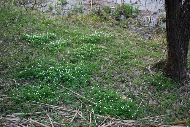 USTVARJALNE DELAVNICE