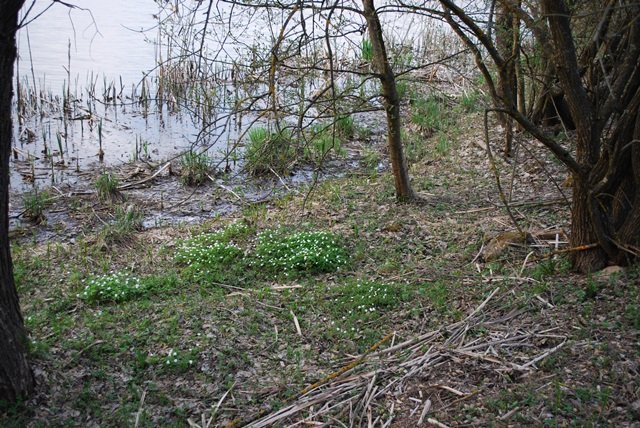 USTVARJALNE DELAVNICE