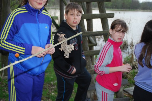 USTVARJALNE DELAVNICE