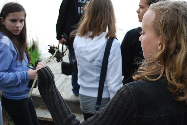 USTVARJALNE DELAVNICE