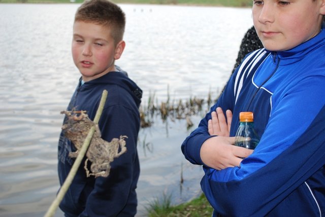 USTVARJALNE DELAVNICE