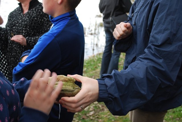 USTVARJALNE DELAVNICE