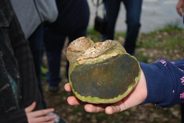 USTVARJALNE DELAVNICE