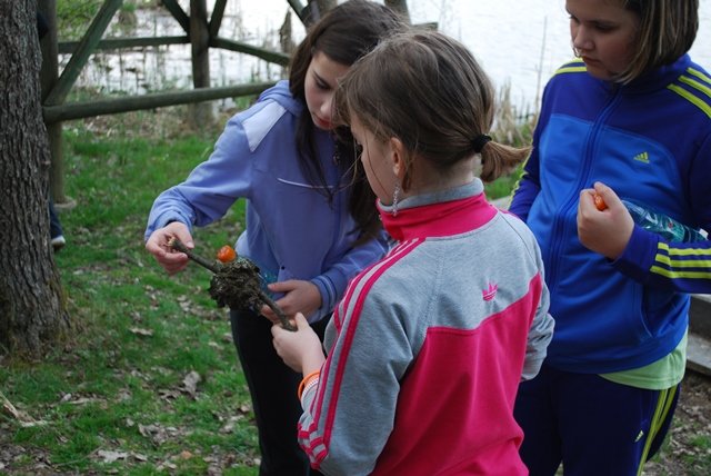 USTVARJALNE DELAVNICE