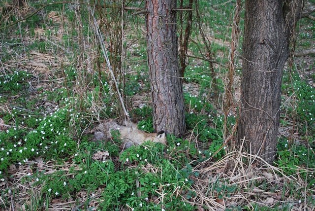 USTVARJALNE DELAVNICE