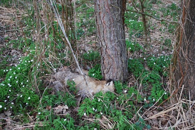 USTVARJALNE DELAVNICE