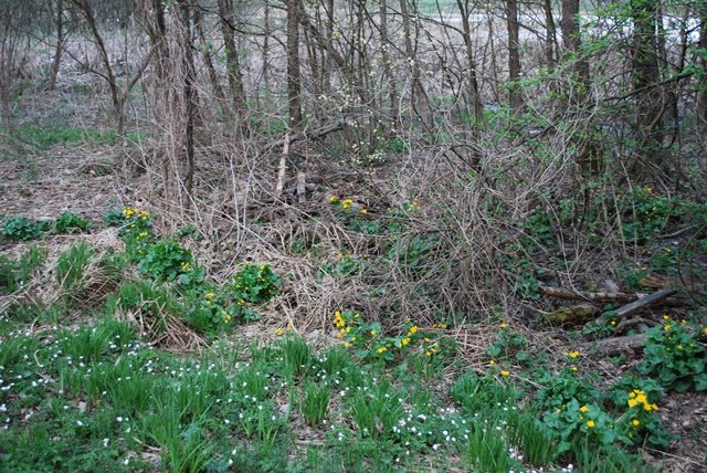 USTVARJALNE DELAVNICE