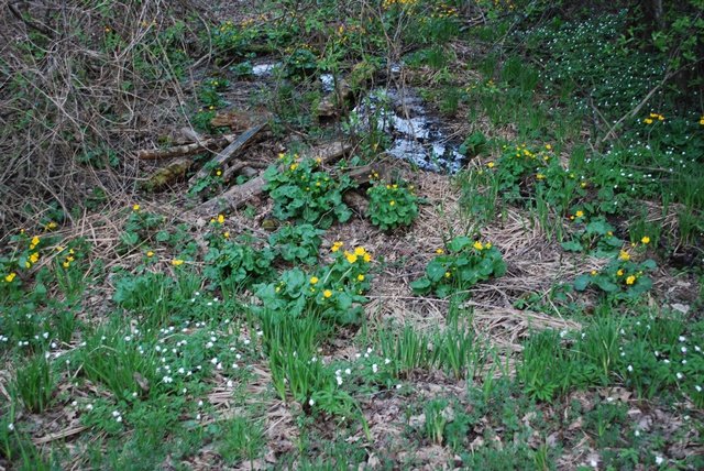 USTVARJALNE DELAVNICE