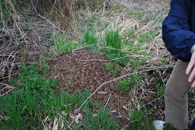 USTVARJALNE DELAVNICE