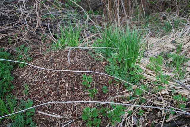 USTVARJALNE DELAVNICE