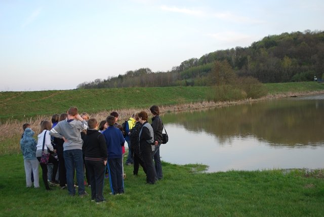 USTVARJALNE DELAVNICE