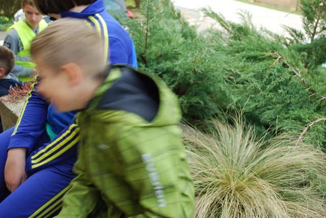 USTVARJALNE DELAVNICE