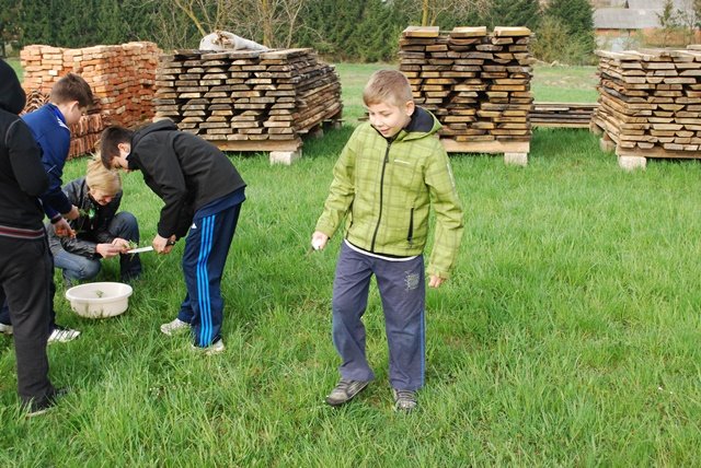 USTVARJALNE DELAVNICE