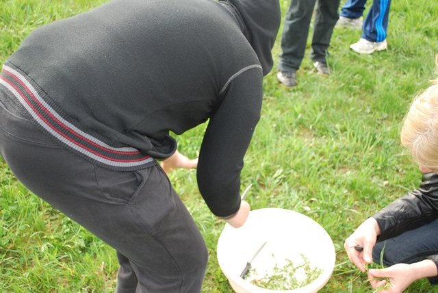 USTVARJALNE DELAVNICE