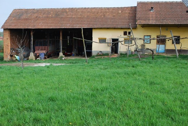 USTVARJALNE DELAVNICE