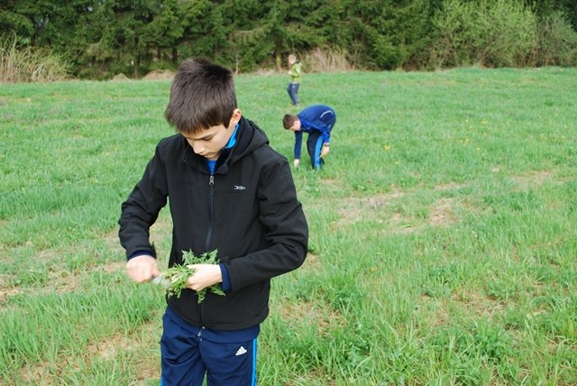 USTVARJALNE DELAVNICE