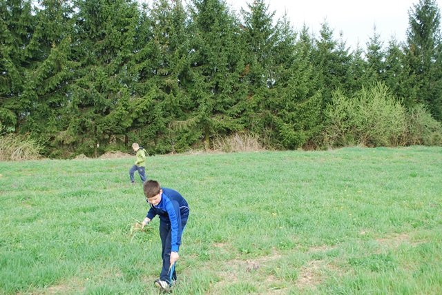 USTVARJALNE DELAVNICE