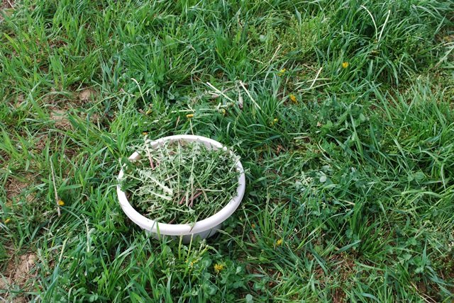 USTVARJALNE DELAVNICE