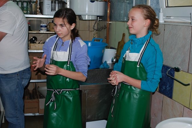 USTVARJALNE DELAVNICE