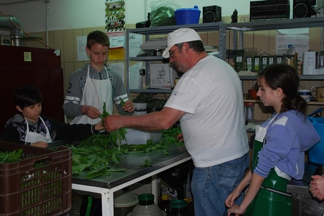 USTVARJALNE DELAVNICE