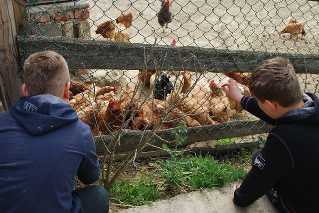 USTVARJALNE DELAVNICE