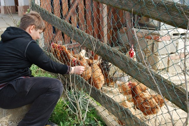 USTVARJALNE DELAVNICE