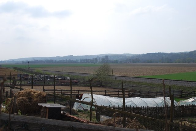 USTVARJALNE DELAVNICE