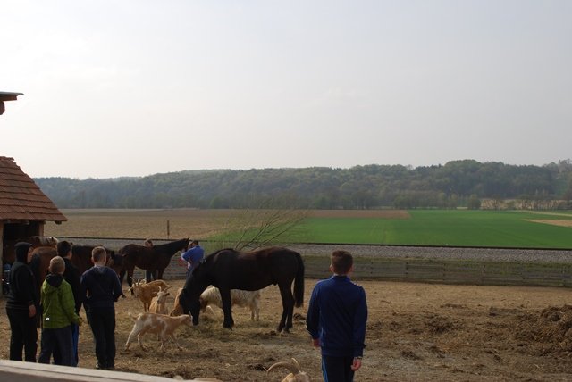 USTVARJALNE DELAVNICE