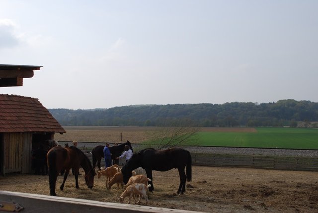 USTVARJALNE DELAVNICE