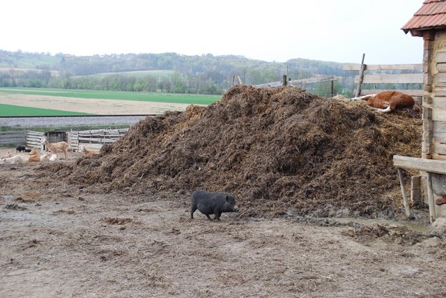 USTVARJALNE DELAVNICE