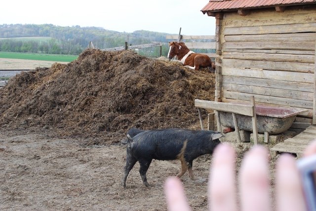 USTVARJALNE DELAVNICE