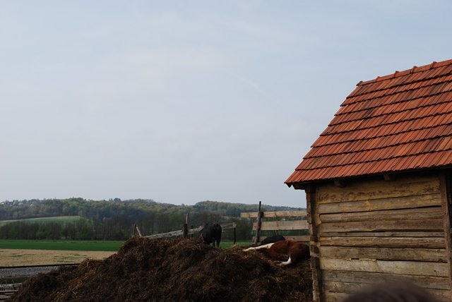 USTVARJALNE DELAVNICE