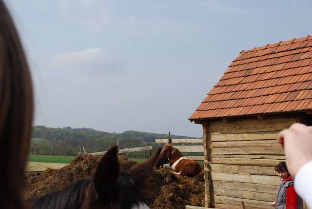 USTVARJALNE DELAVNICE